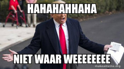 Trump - Impeachment Quid Pro Quo