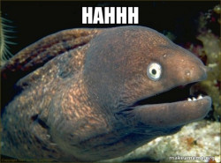 Bad Joke Eel
