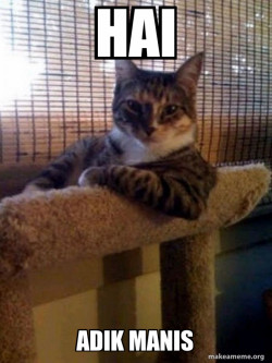 The Most Interesting Cat in the World