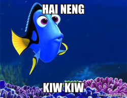 Dory from Nemo  (5 second memory)