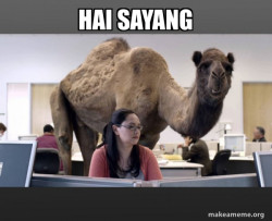Hump Day Camel