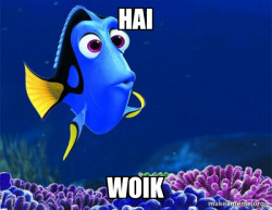 Dory from Nemo  (5 second memory)