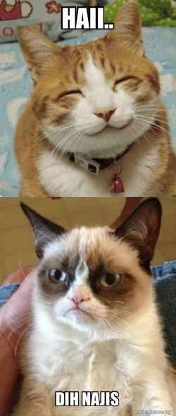 Grumpy Cat vs Happy Cat