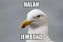 Stuff That Didn't Happen Seagull