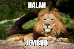 Contemplative Lion