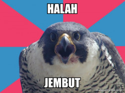 Millennial Falcon