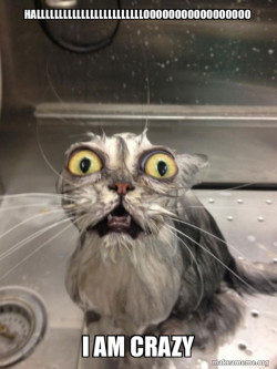 Cat bath