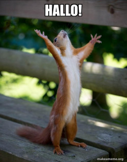 Happy Squirrel