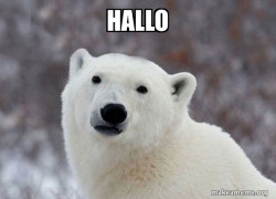 Popular Opinion Polar Bear
