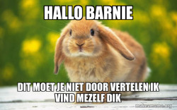 Regretful Rabbit