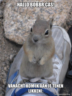 Standover Squirrel