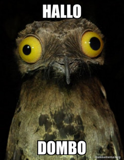 Weird Stuff I do Potoo