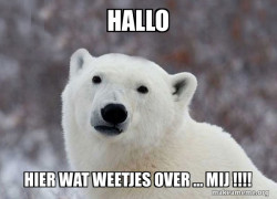 Popular Opinion Polar Bear