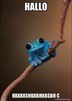 redplusblueequalFrogy