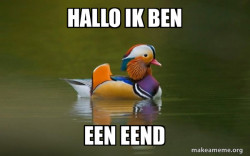 Fashionable Advice Mallard