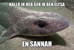 Dirty Joke Dogfish