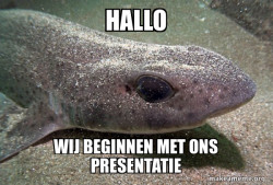 Dirty Joke Dogfish