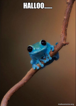 Small Fact Frog