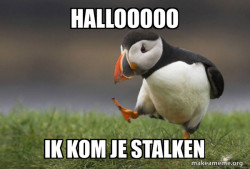 Unpopular Opinion Puffin