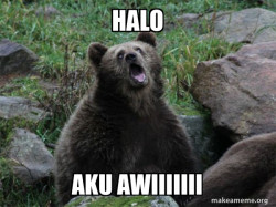 Sarcastic Bear