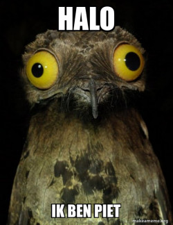 Weird Stuff I do Potoo