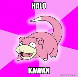 Slowpoke the Pokemon