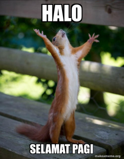Happy Squirrel