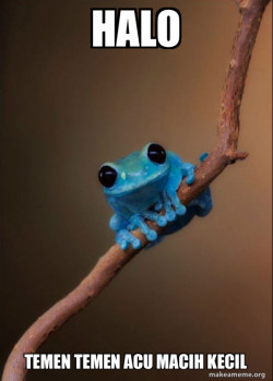 Small Fact Frog