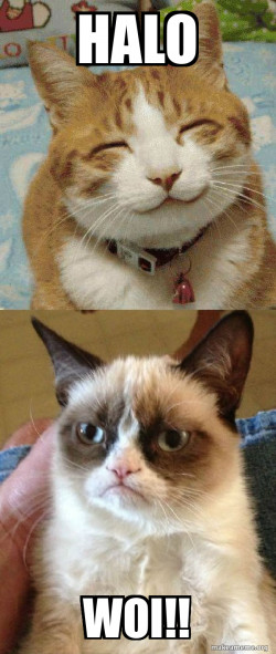 Grumpy Cat vs Happy Cat