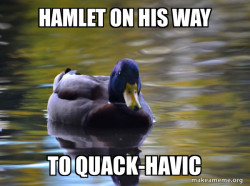 Zen Advice Mallard