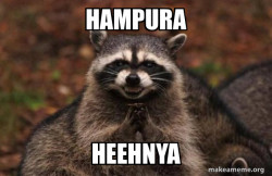 Evil Plotting Raccoon