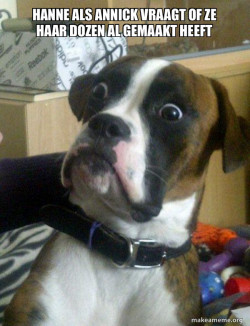 Skeptical Dog