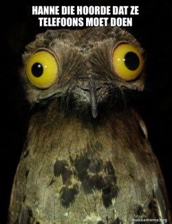 Weird Stuff I do Potoo