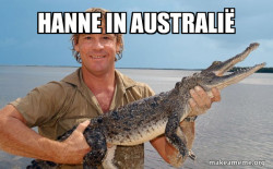 Steve irwin