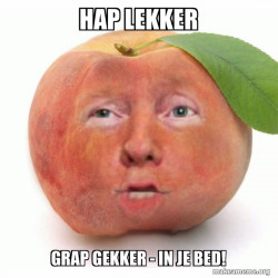 Impeached Donald Trump