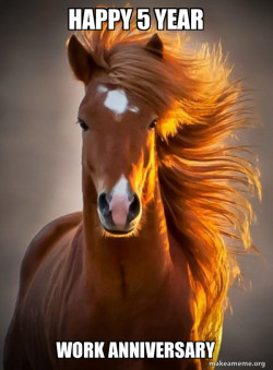 Ridiculously photogenic horse