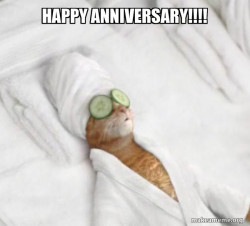 Pampered Cat Meme