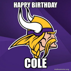 Minnesota Vikings