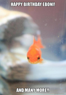 Grumpy Fish
