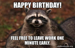 Evil Plotting Raccoon