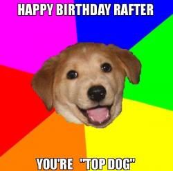 Advice Dog