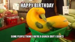 Gourd Advice Mallard