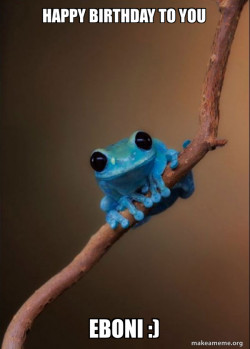 Small Fact Frog