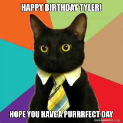 Business Cat Says Happy Birthday