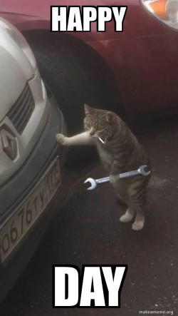Mechanic Cat