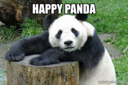 panda