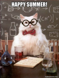 Chemistry Cat