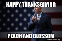 Joe Biden 2020