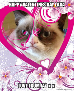 Grumpy cat Valentines Day