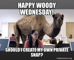 Hump Day Camel